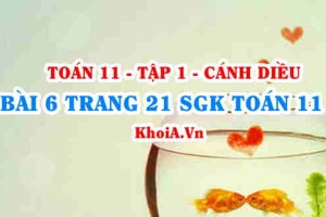 Bài 6 trang 21 SGK Toán 11 tập 1 Cánh Diều